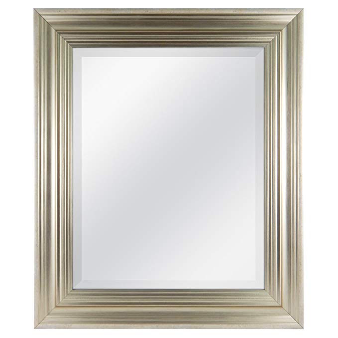 MCS 16x20 Inch Scoop Mirror, 21.5x25.5 Inch Overall Size, Champagne (20550)