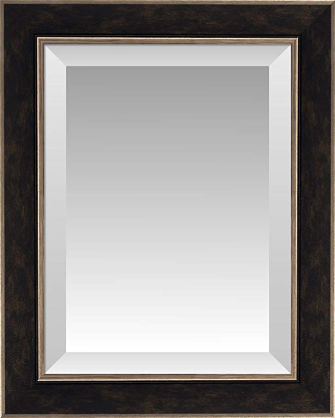 Bronze Washed Espresso Brown with Bronze Edges Beveled Wall Mirror, Size 20 X 24